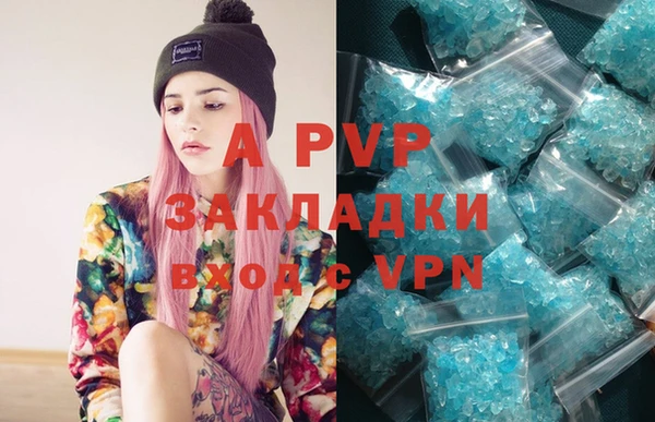 apvp Бородино