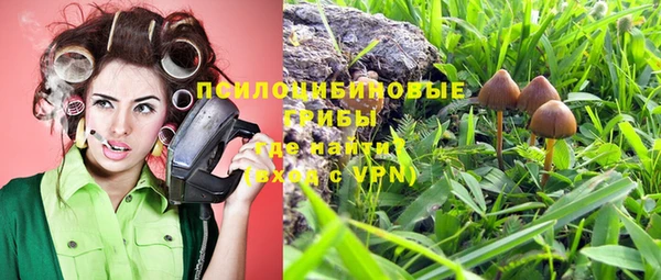 прущий лед Богородицк