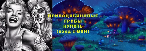 СК Богданович